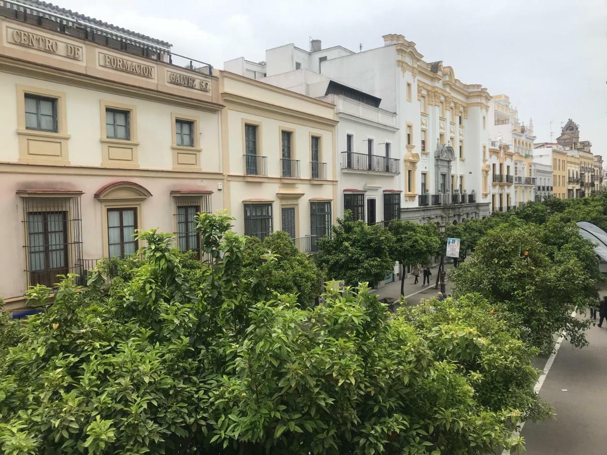 Apartamento Centro Jerez Apartament Jerez de la Frontera Zewnętrze zdjęcie